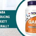 The Role of GABA in Reducing Anxiety Naturally